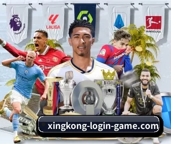 星空体育官方登录 APP(xingkongyule)