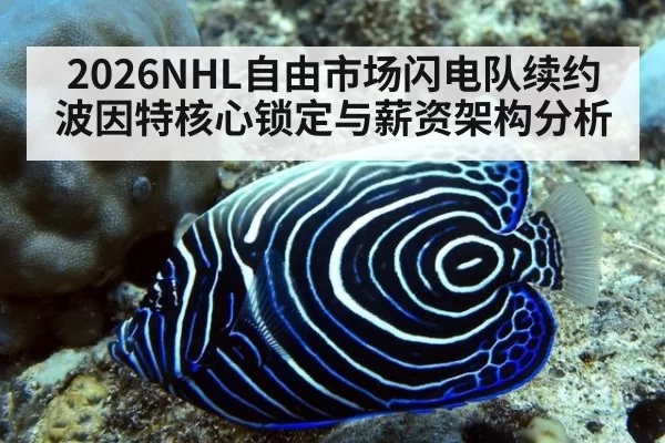 2026NHL自由市场闪电队续约波因特核心锁定与薪资架构分析