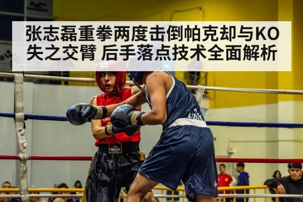 boxer in action